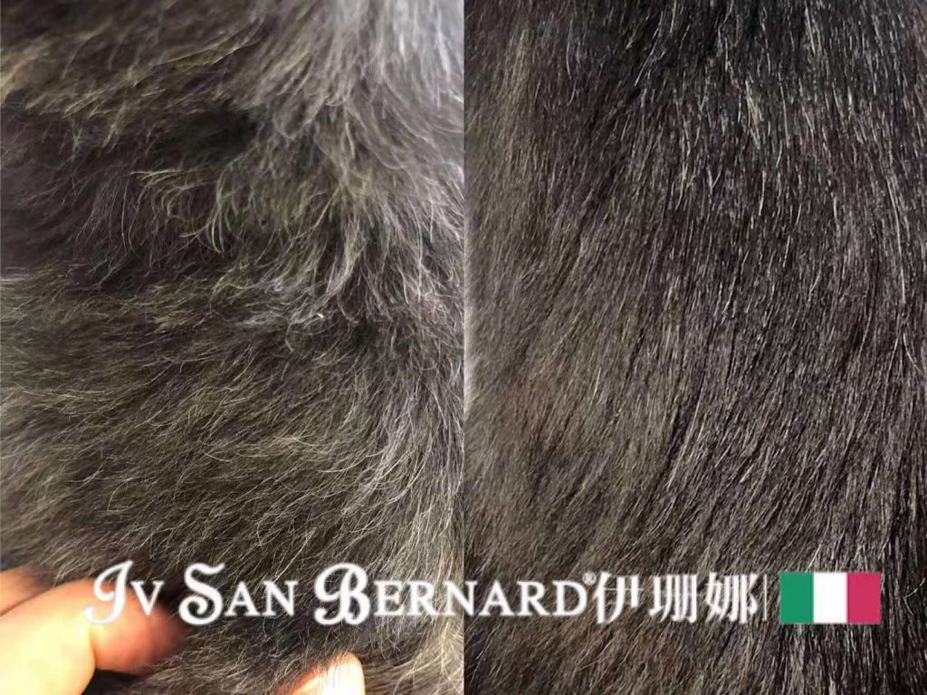 微信图片_20191016181427-1024x767.jpg