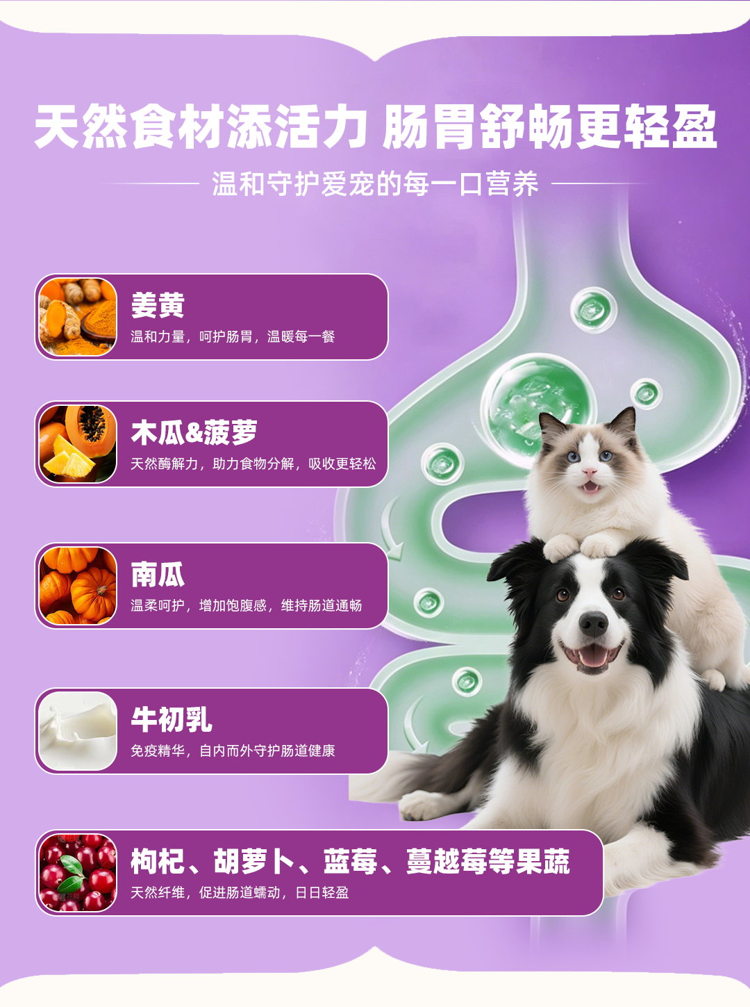 犬粮详情-7.jpg